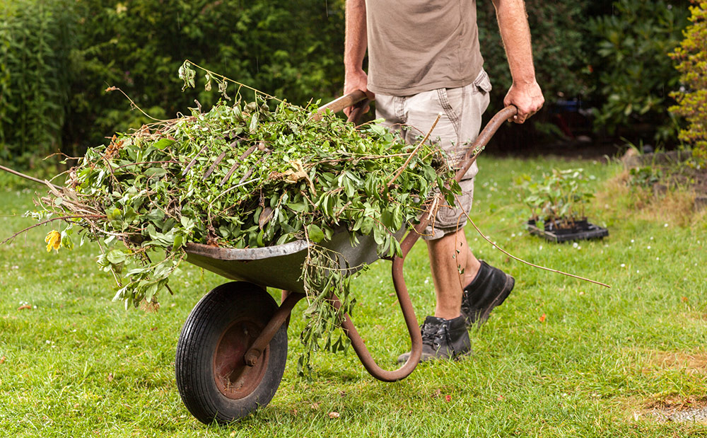 Fast Junk Removal in Dubai Garden Waste Wheelbarrow